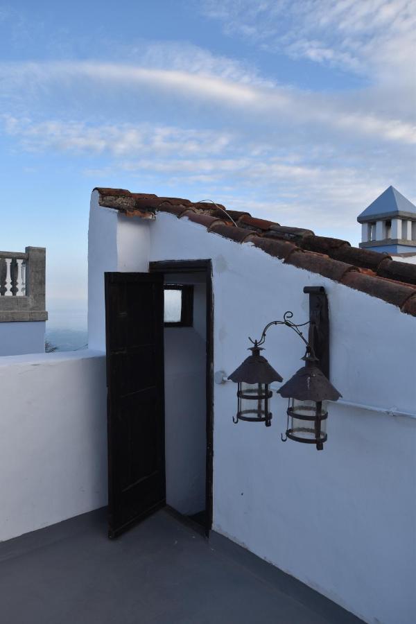 Gato Azul - Coliving Hotel La Orotava Exterior photo